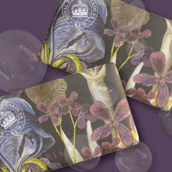 Savon Iris, Royal Botanic Gardener Kew