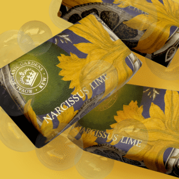 Savon narcisse et citron vert, Royal Botanic Gardener Kew
