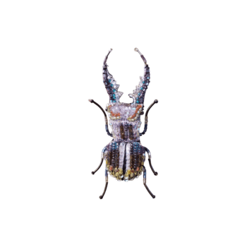 Trovelore, broche Lucane