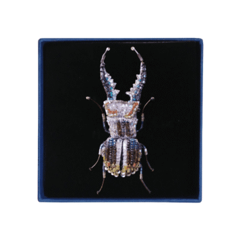Trovelore, broche Lucane