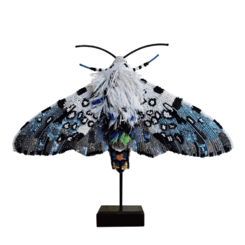 Trovelore, Objet d’art Carolina Moth